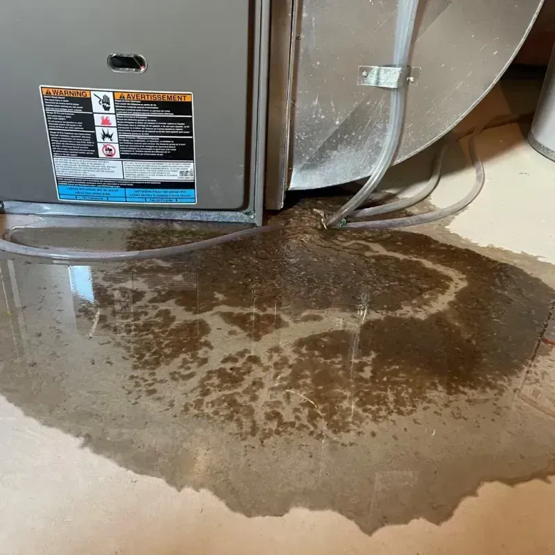 Appliance Leak Cleanup in Oakland, PA